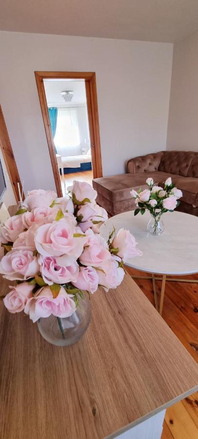 Jaukus Apartamentai Miesto Centre Šiauliai Esterno foto